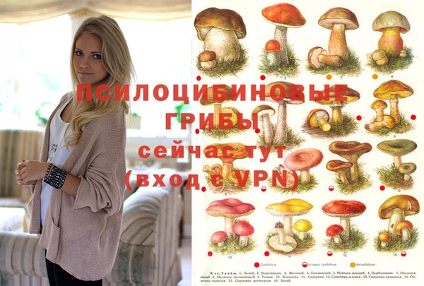 мяу мяу мука Алзамай